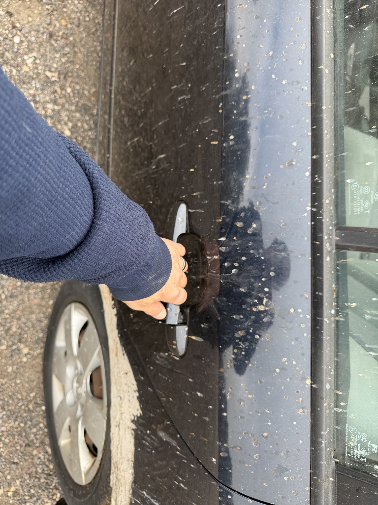 2008 hyundai sonata gls with 152426 miles for sale near Elk River, Minnesota 106768_25_drv_rear_door_panel.jpg