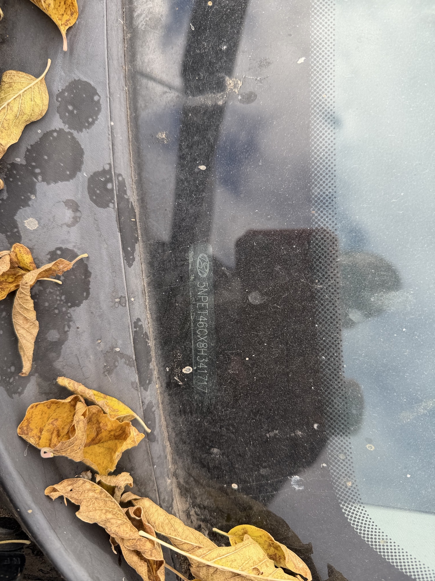 2008 hyundai sonata gls with 152426 miles for sale near Elk River, Minnesota 106768_48_windshield_vin_plate.jpg