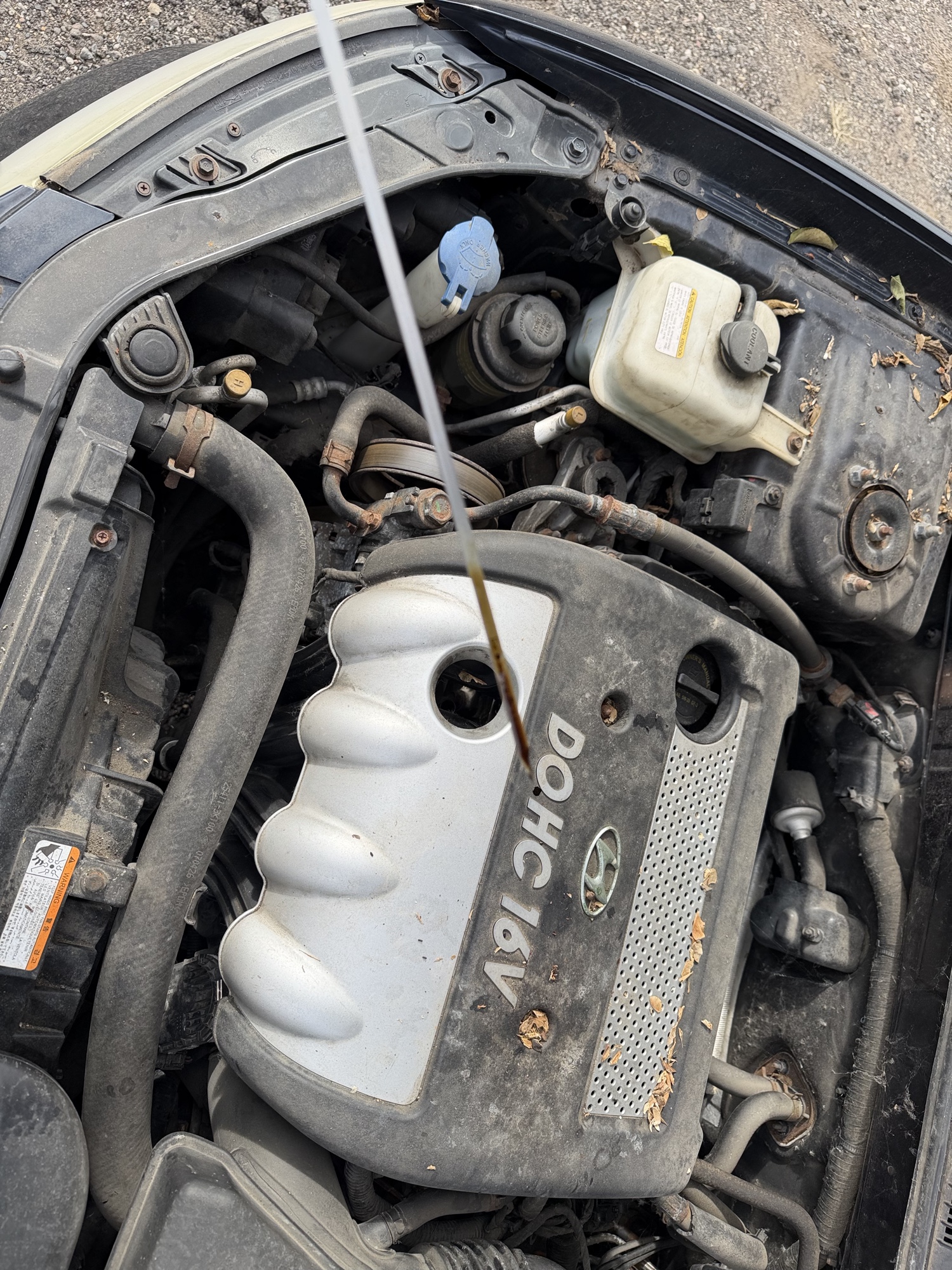2008 hyundai sonata gls with 152426 miles for sale near Elk River, Minnesota 106768_50_oil_dipstick.jpg