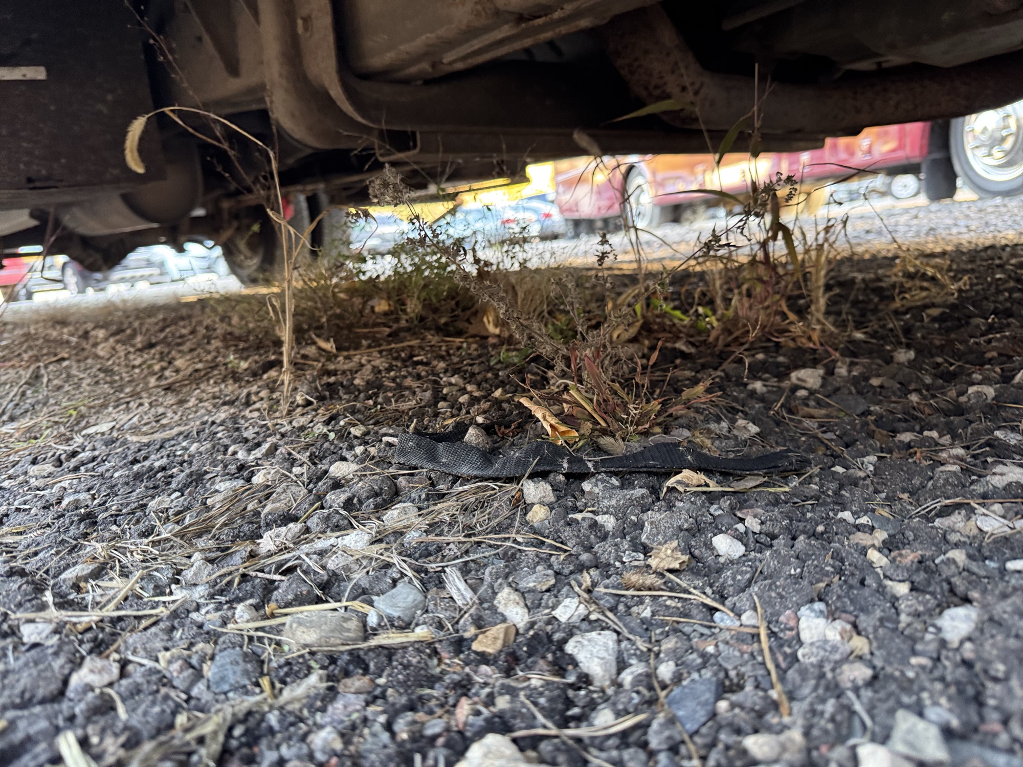 2012 chevrolet express g4500 with 167265 miles for sale near Elk River, Minnesota 106769_21_undercar_pass_side.jpg
