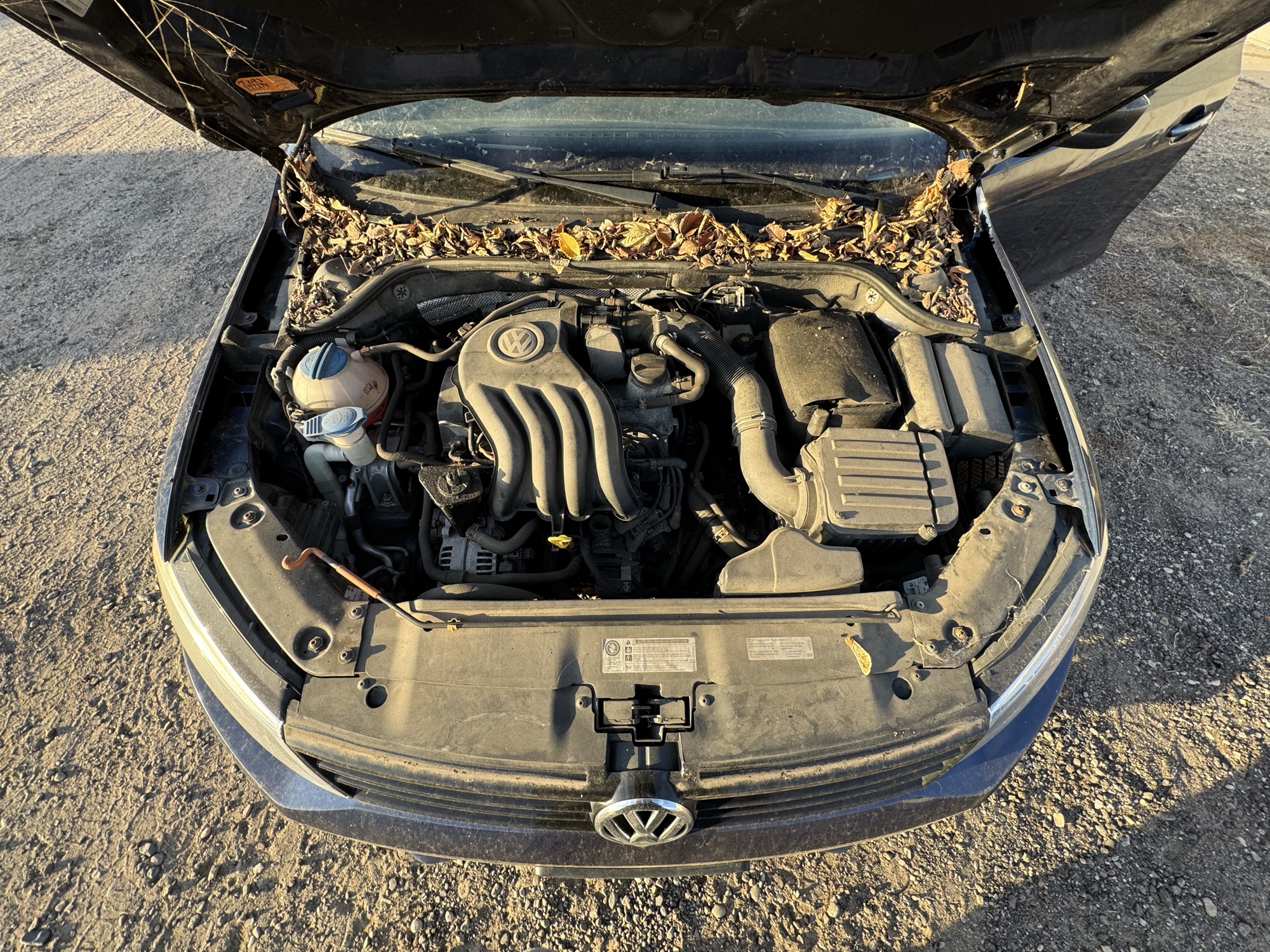 2014 volkswagen jetta s with 161240 miles for sale near Elk River, Minnesota 106775_49_engine_bay.jpg