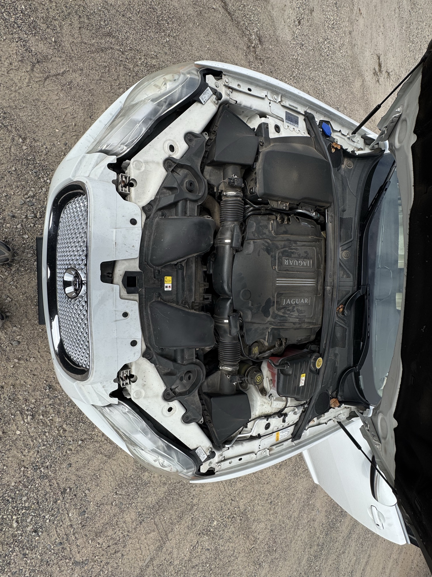 2011 jaguar xf-series xf-supercharged with 150511 miles for sale near Elk River, Minnesota 106794_49_engine_bay.jpg
