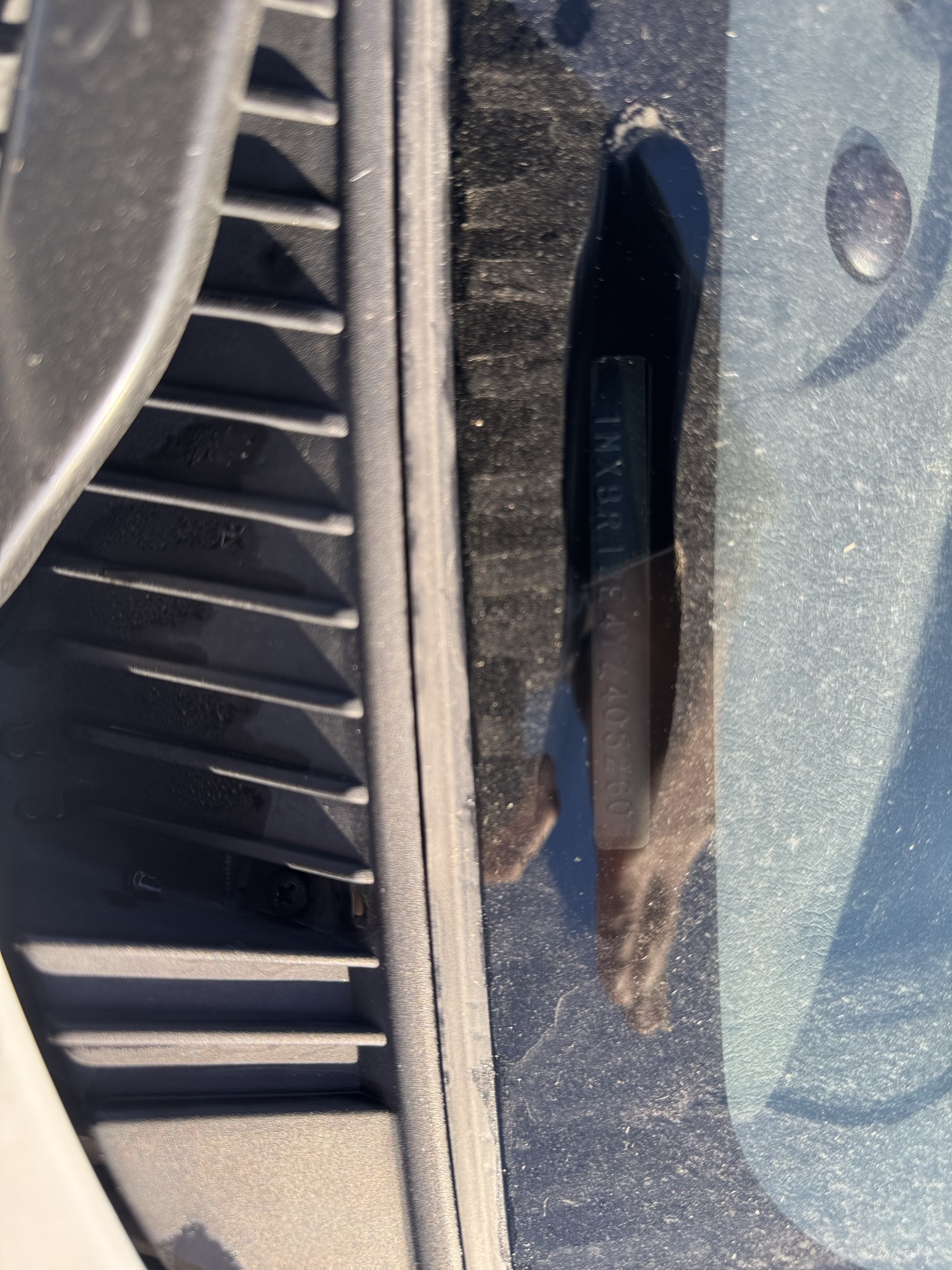 2000 toyota corolla ve with 73258 miles for sale near Elk River, Minnesota 106807_48_windshield_vin_plate.jpg