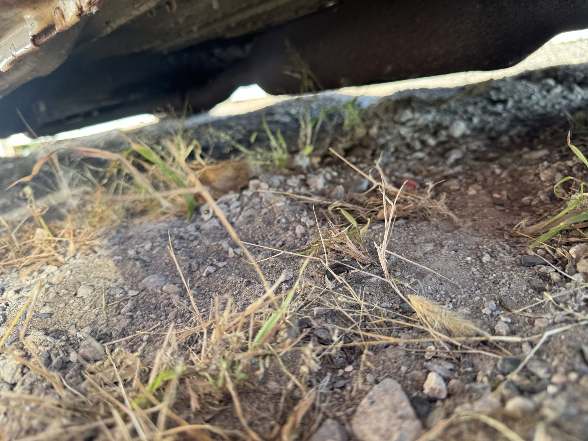 1971 mg mgb with 86647 miles for sale near Elk River, Minnesota 106808_18_undercar_rear_drv.jpg