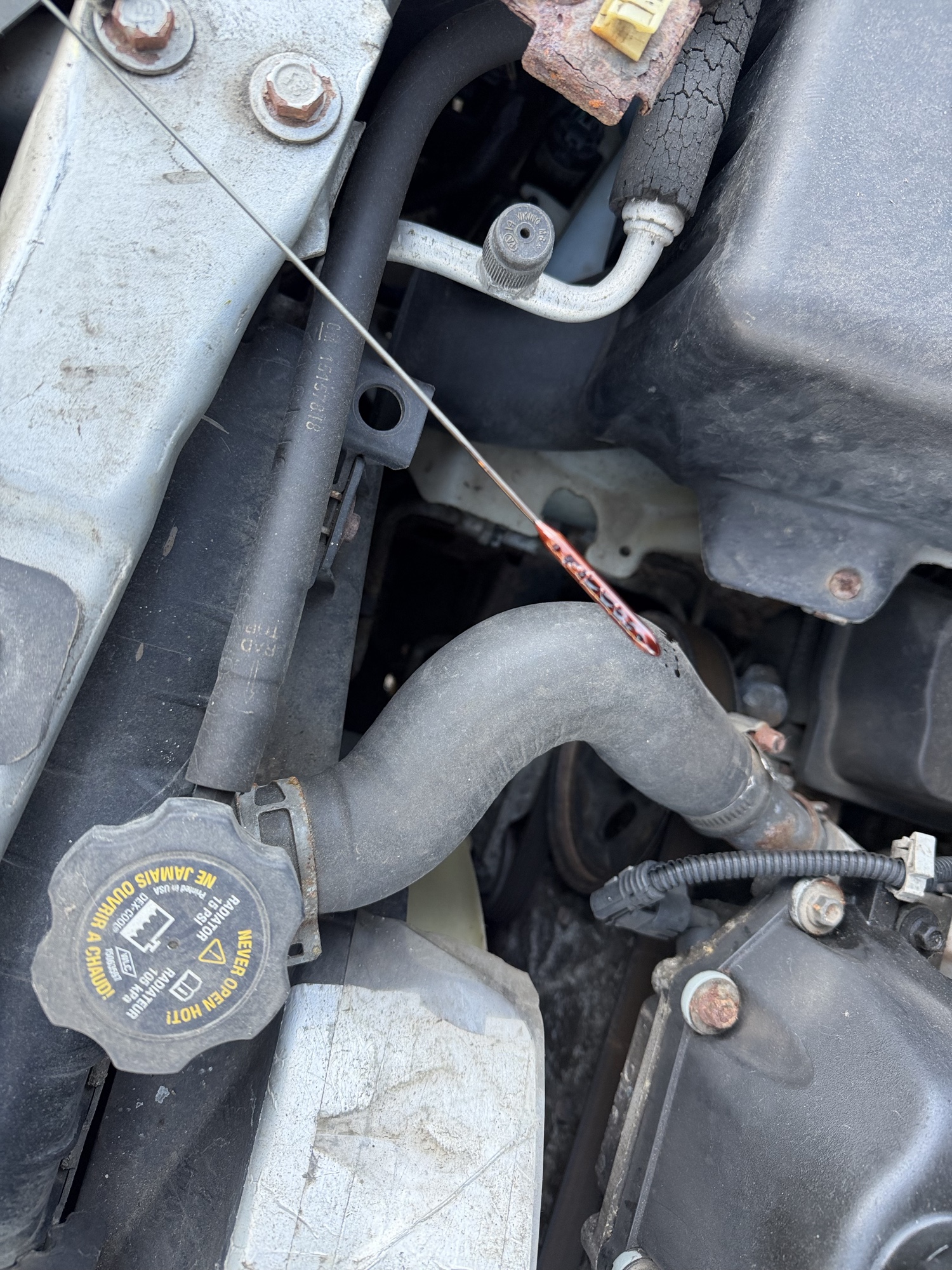 2002 gmc envoy sle-4wd with 221103 miles for sale near Elk River, Minnesota 106812_50_oil_dipstick.jpg