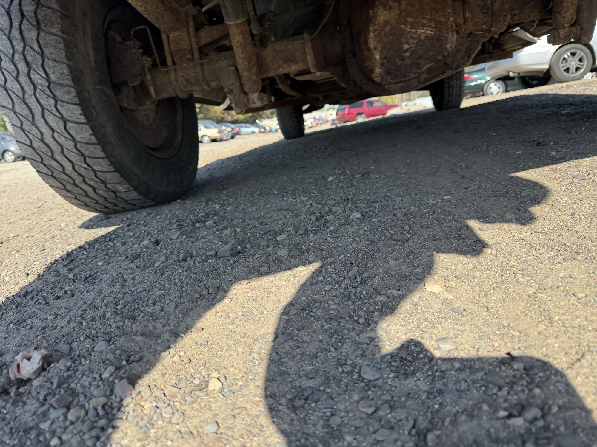 1999 ford f-250 ws-reg.-cab-4wd for sale near Elk River, Minnesota 106816_19_undercar_rear.jpg