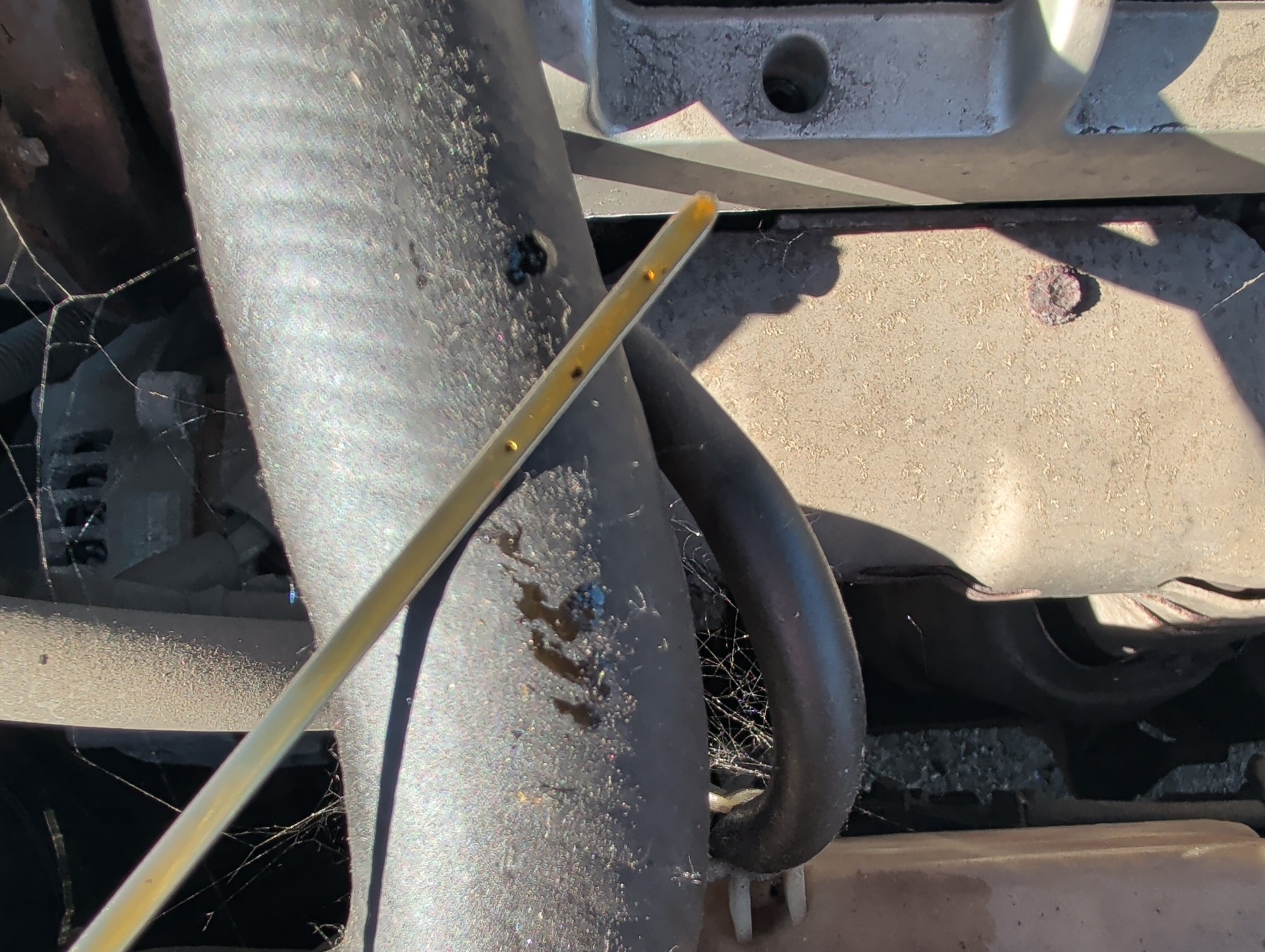 2005 toyota sienna le with 270873 miles for sale near Elk River, Minnesota 106819_50_oil_dipstick.jpg