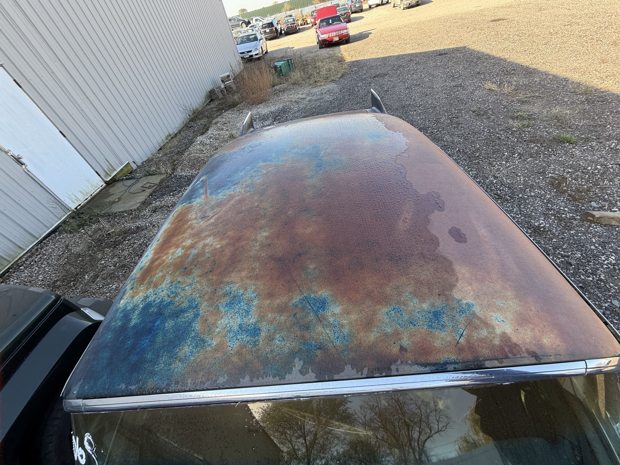 1958 cadillac deville series-75 for sale near Elk River, Minnesota 106849_11_roof.jpg