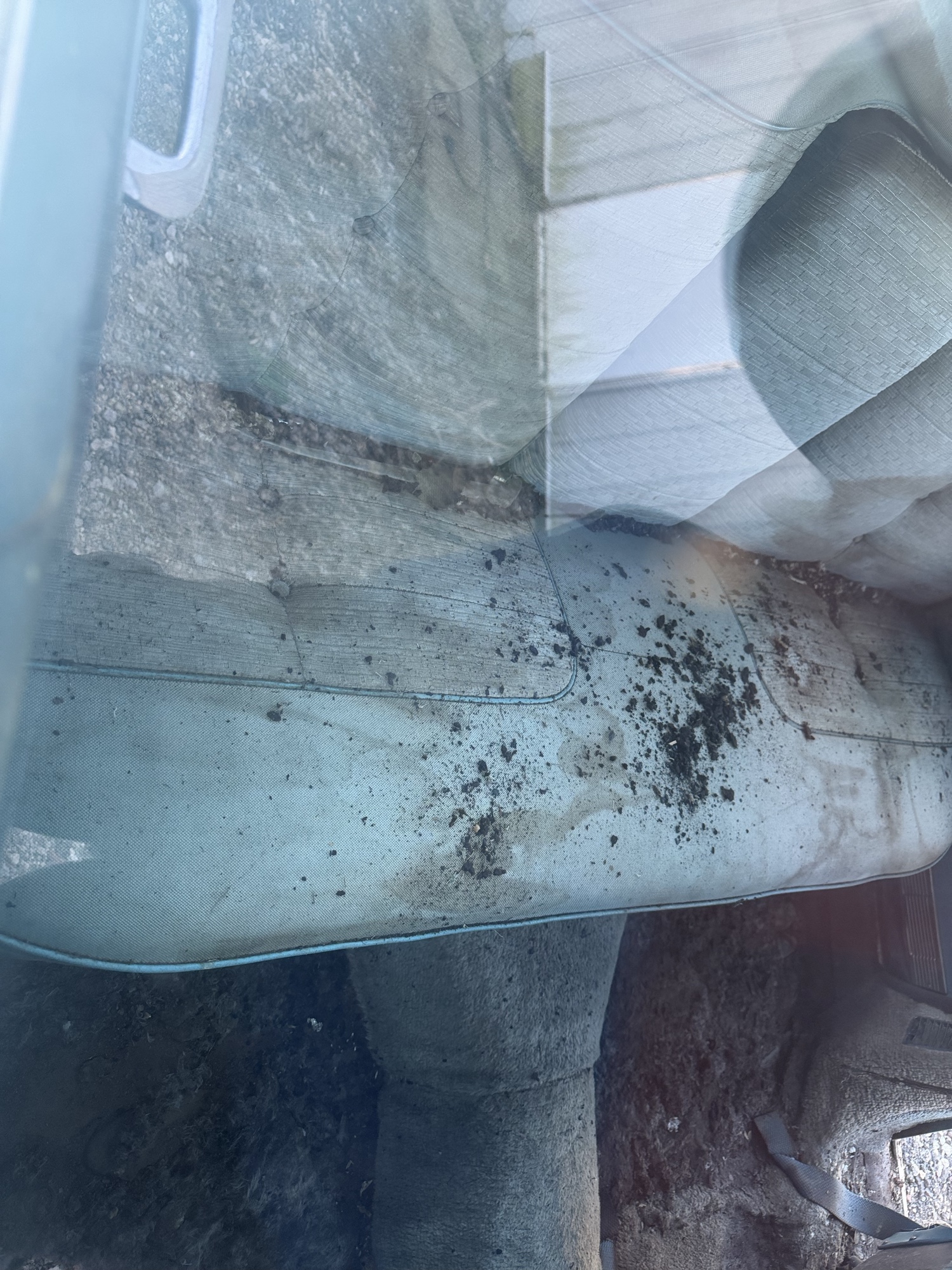 1958 cadillac deville series-75 for sale near Elk River, Minnesota 106849_28_pass_rear_seat.jpg