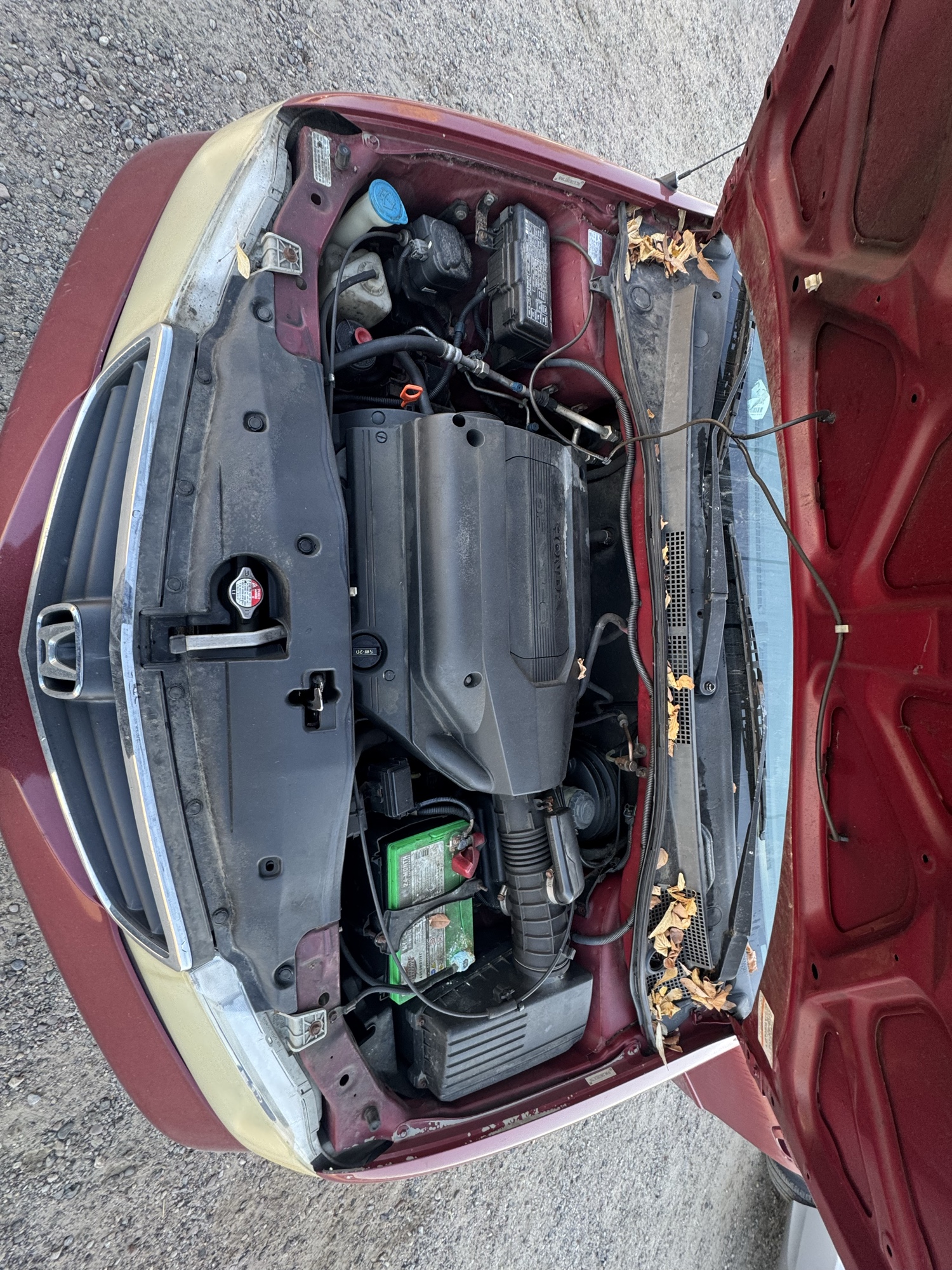 2003 honda odyssey ex with 277425 miles for sale near Elk River, Minnesota 106855_49_engine_bay.jpg