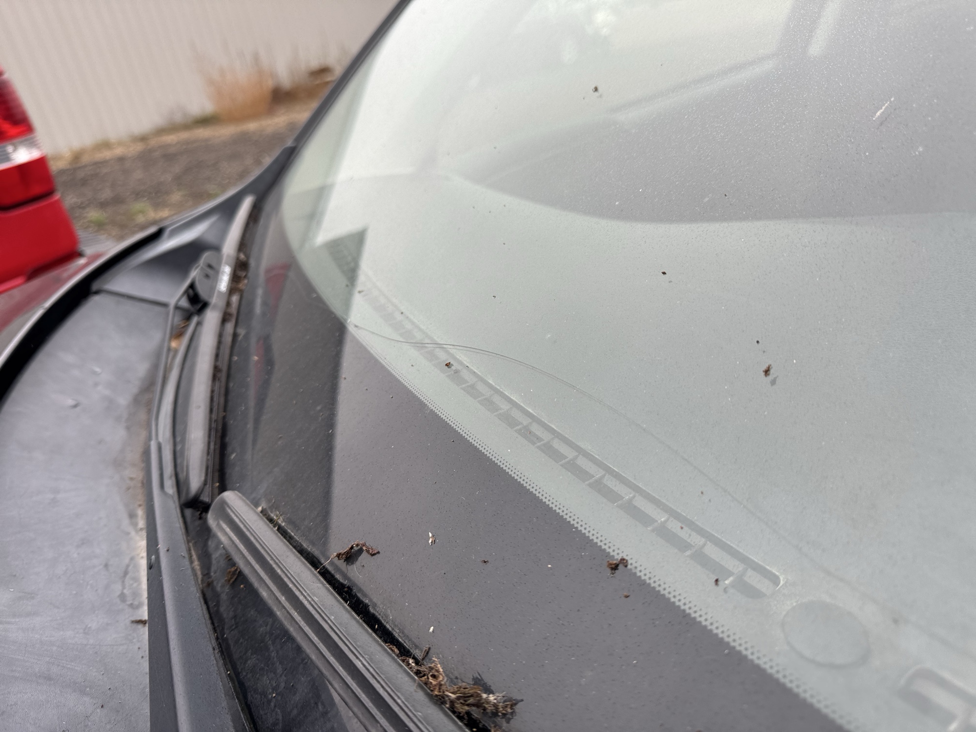 2012 subaru forester 2.5x with 290026 miles for sale near Elk River, Minnesota 106858_09_front_windshield.jpg