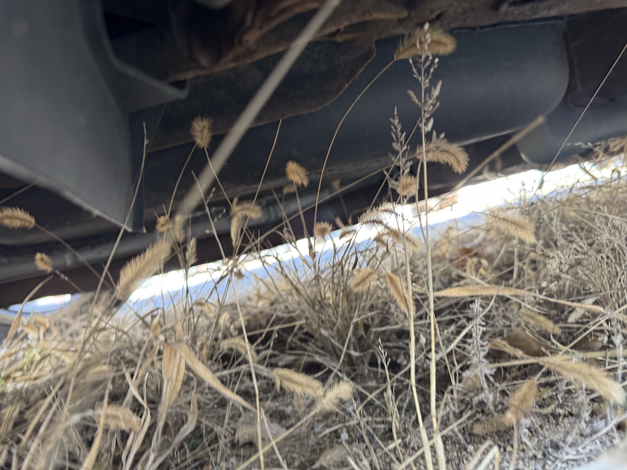2011 nissan maxima sv for sale near Elk River, Minnesota 106882_20_undercar_rear_pass.jpg