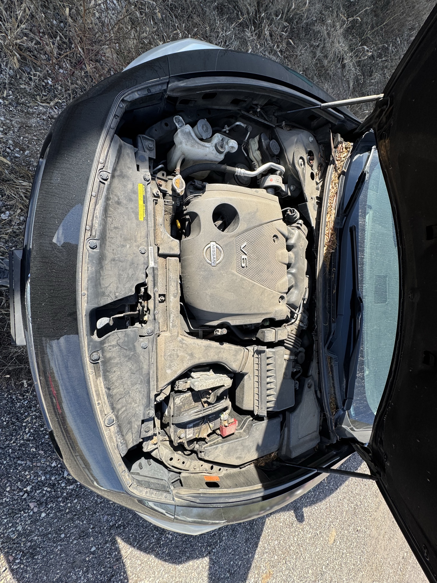 2011 nissan maxima sv for sale near Elk River, Minnesota 106882_49_engine_bay.jpg