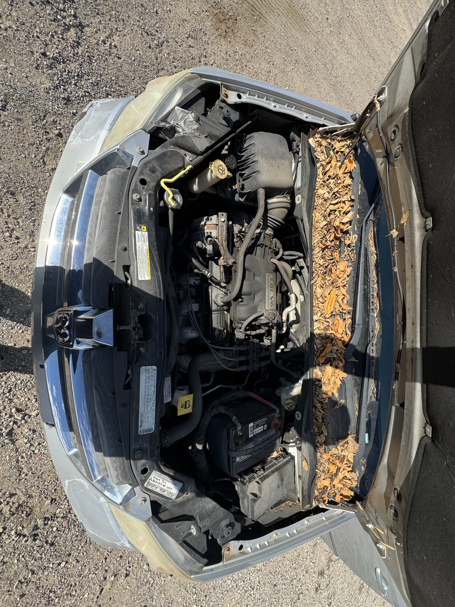 2009 dodge grand-caravan sxt with 228009 miles for sale near Elk River, Minnesota 106901_49_engine_bay.jpg