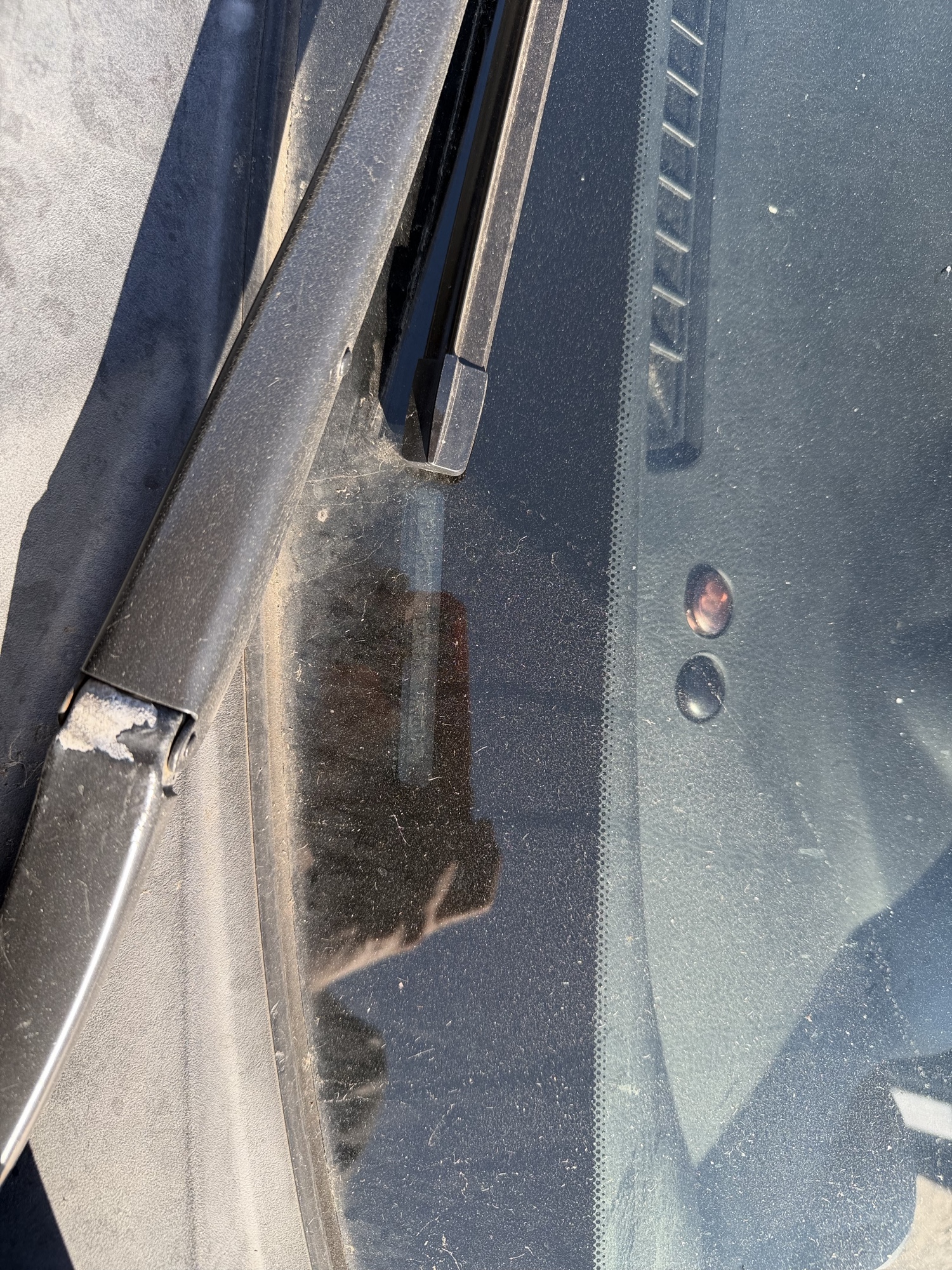 2010 toyota rav4 limited-v6-4wd with 306450 miles for sale near Elk River, Minnesota 106903_48_windshield_vin_plate.jpg