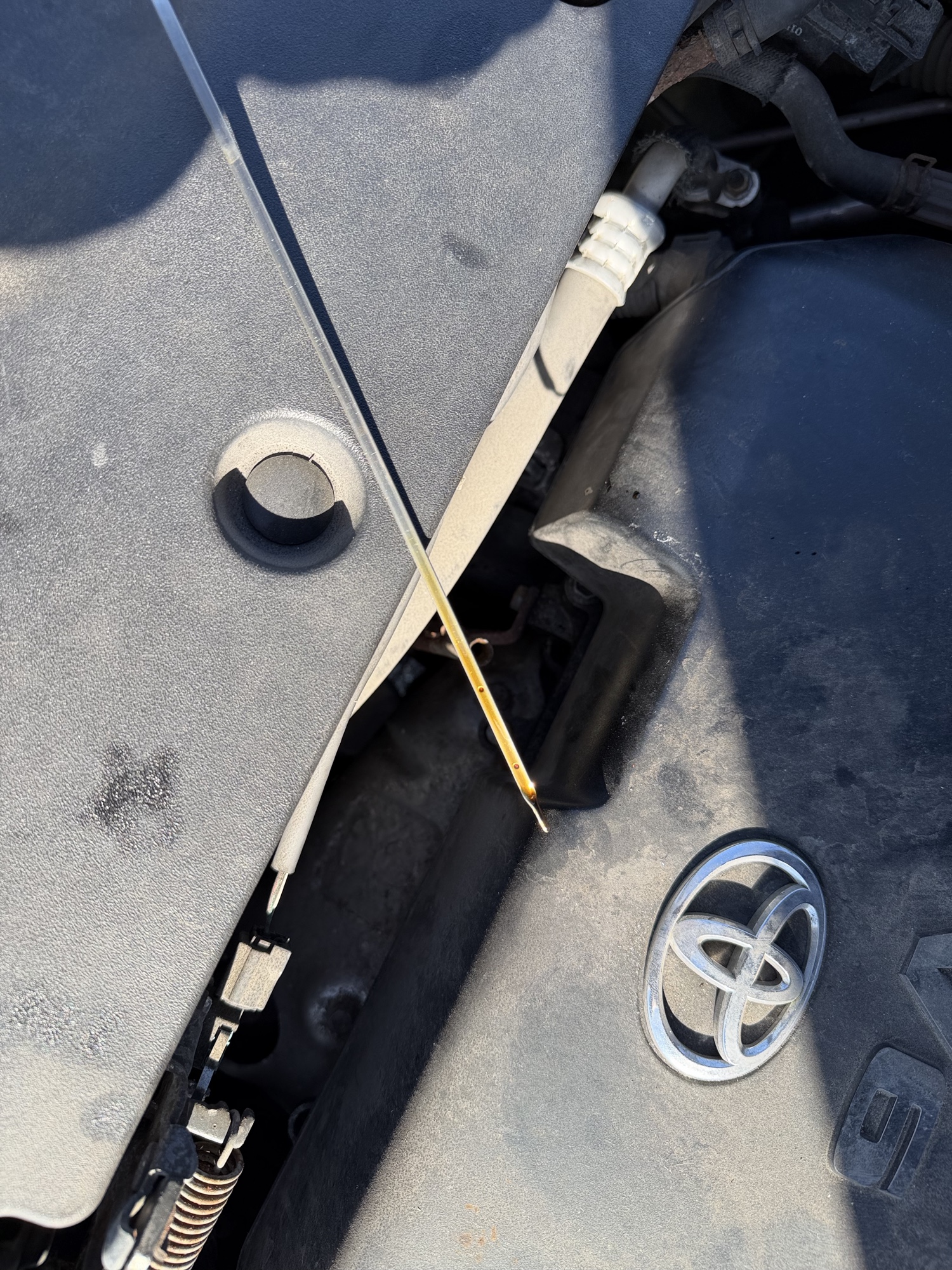 2010 toyota rav4 limited-v6-4wd with 306450 miles for sale near Elk River, Minnesota 106903_50_oil_dipstick.jpg