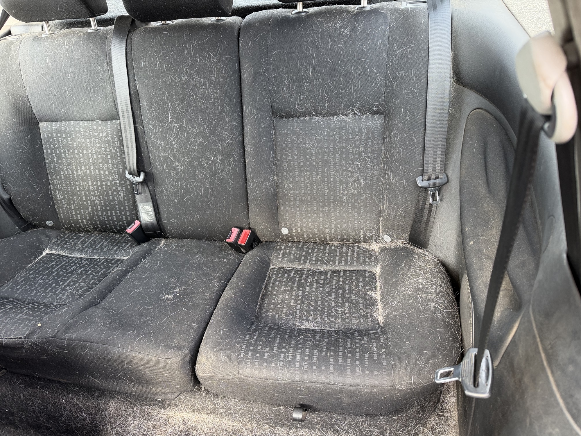 2004 volkswagen golf gl-2.0 with 222387 miles for sale near Elk River, Minnesota 106919_24_drv_rear_seat.jpg