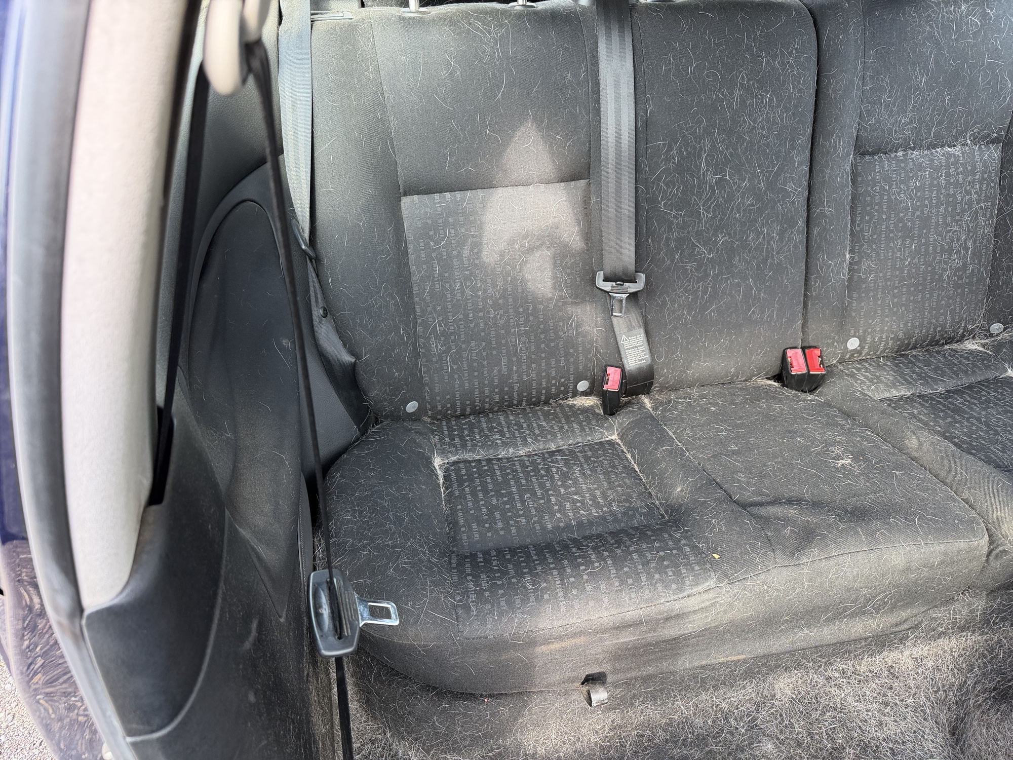 2004 volkswagen golf gl-2.0 with 222387 miles for sale near Elk River, Minnesota 106919_28_pass_rear_seat.jpg