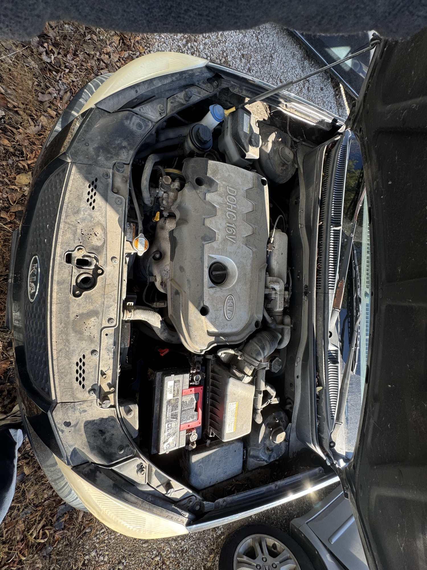 2006 kia rio base with 41470 miles for sale near Elk River, Minnesota 106921_49_engine_bay.jpg