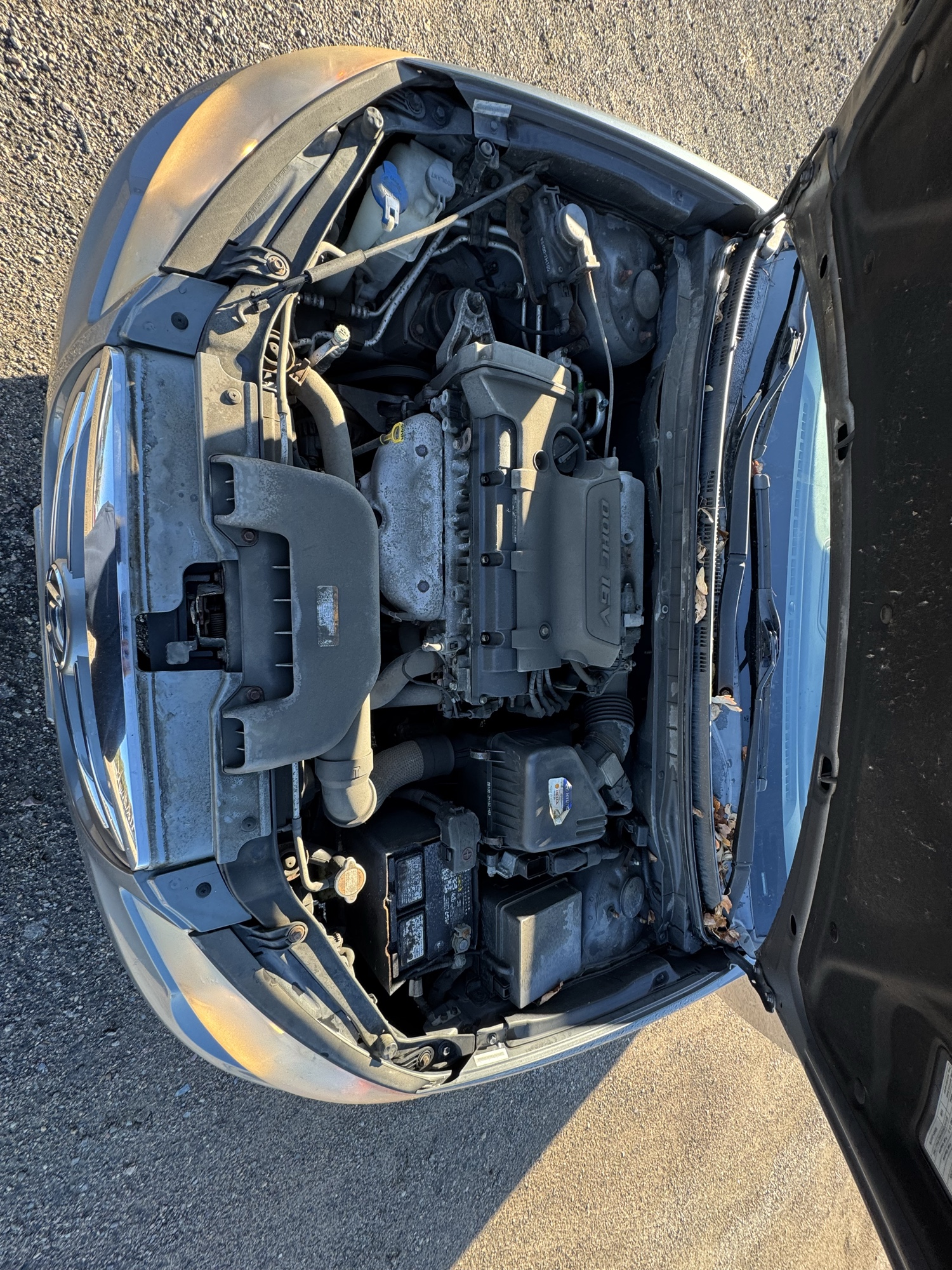 2010 hyundai elantra se with 156272 miles for sale near Elk River, Minnesota 106924_49_engine_bay.jpg