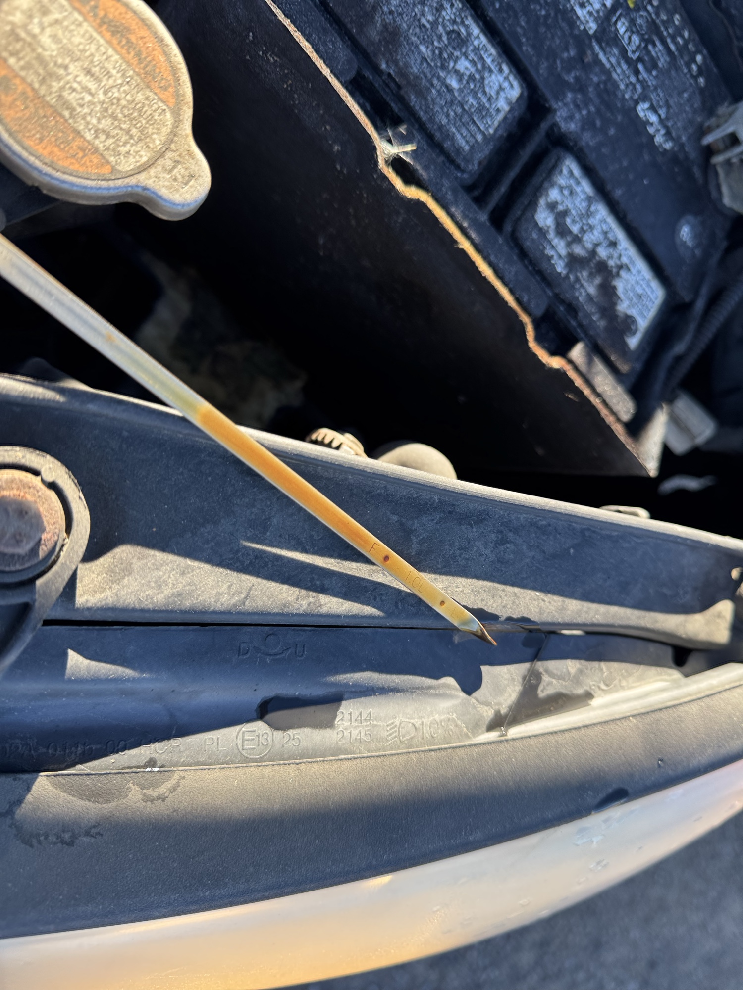 2010 hyundai elantra se with 156272 miles for sale near Elk River, Minnesota 106924_50_oil_dipstick.jpg
