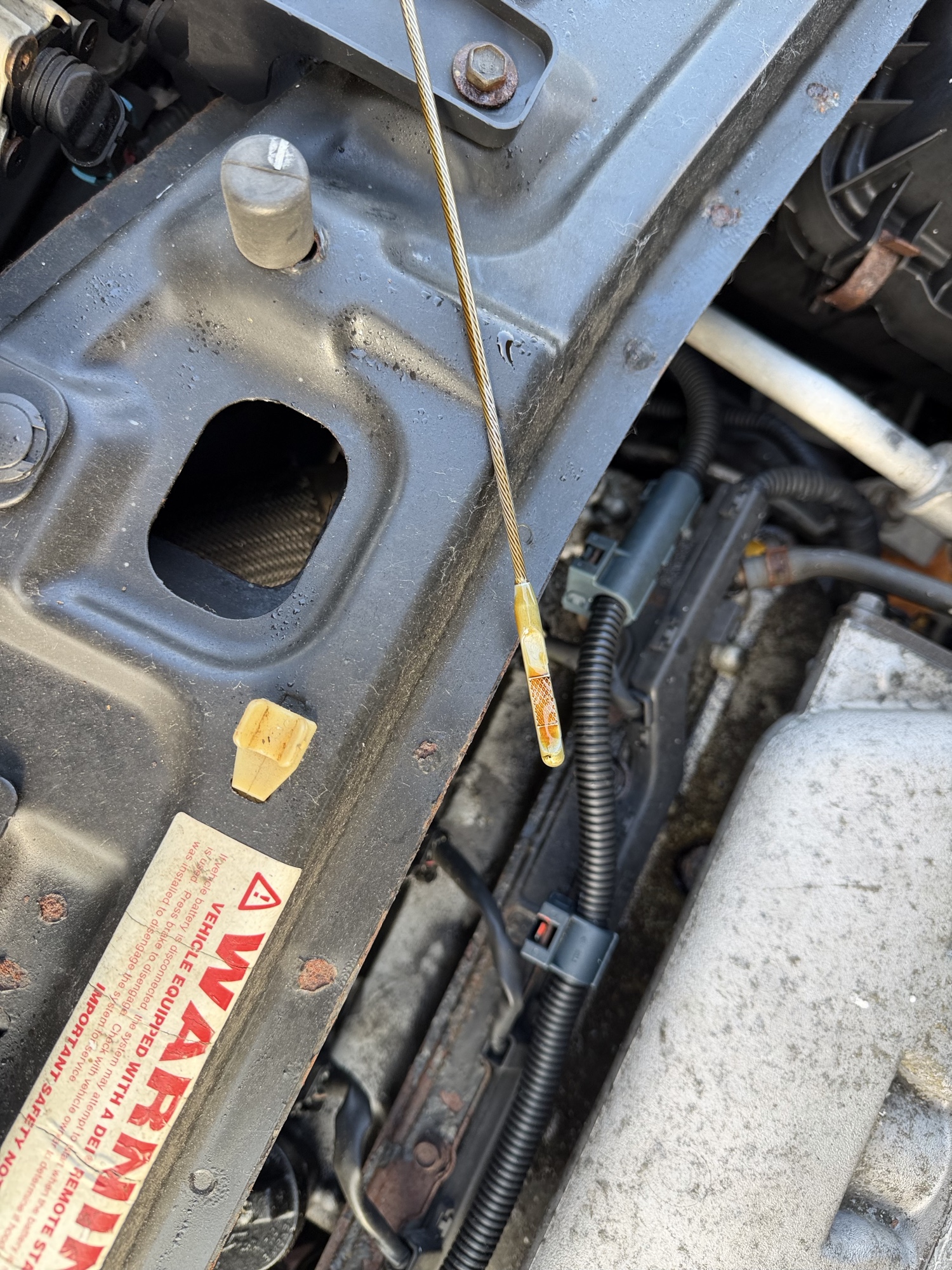 2004 saturn vue awd-v6 with 217755 miles for sale near Elk River, Minnesota 106927_50_oil_dipstick.jpg