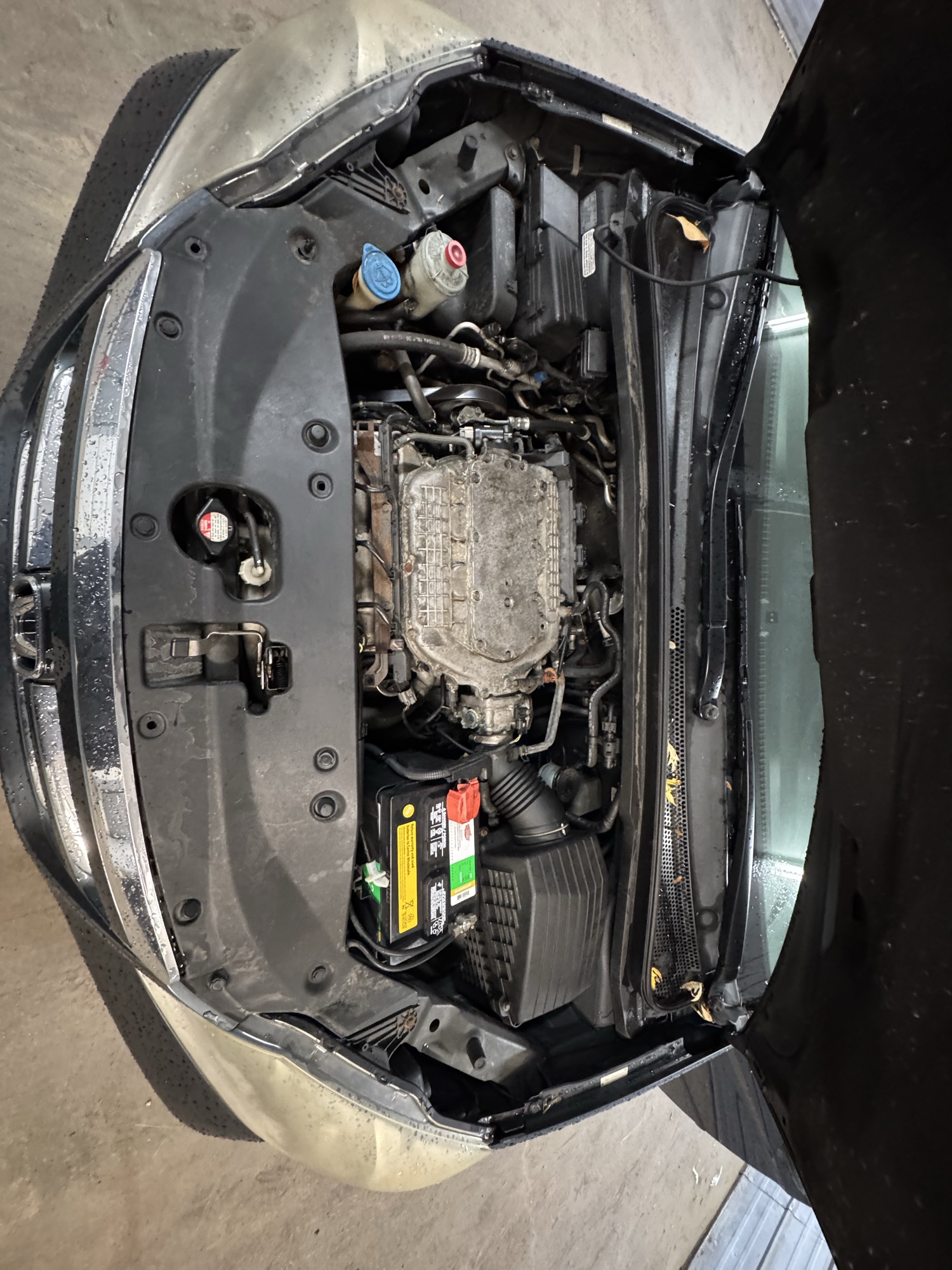 2006 honda odyssey ex-l-v6 with 217533 miles for sale near Elk River, Minnesota 106930_49_engine_bay.jpg