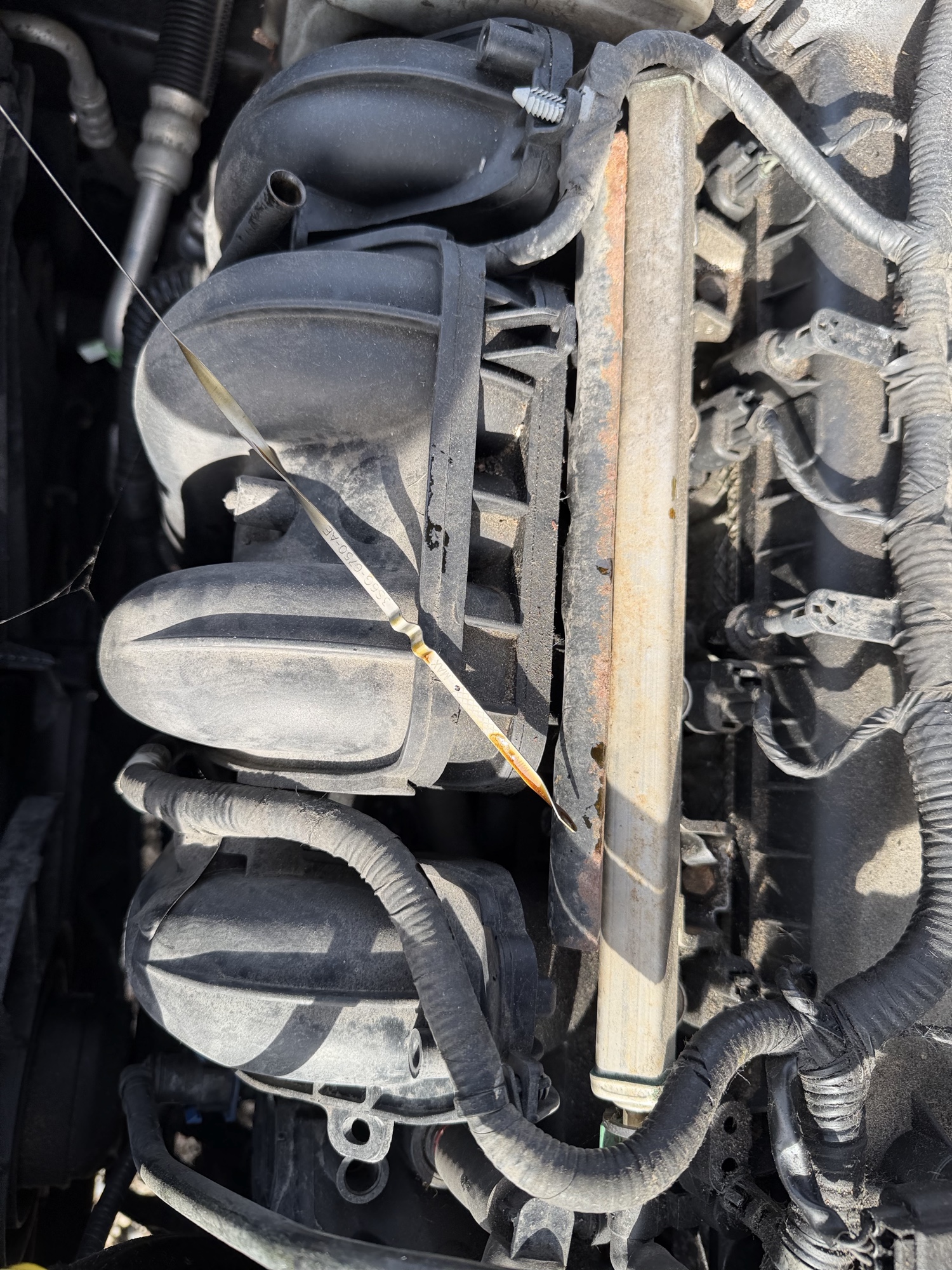 2010 ford focus sel-sedan with 180168 miles for sale near Elk River, Minnesota 106939_50_oil_dipstick.jpg