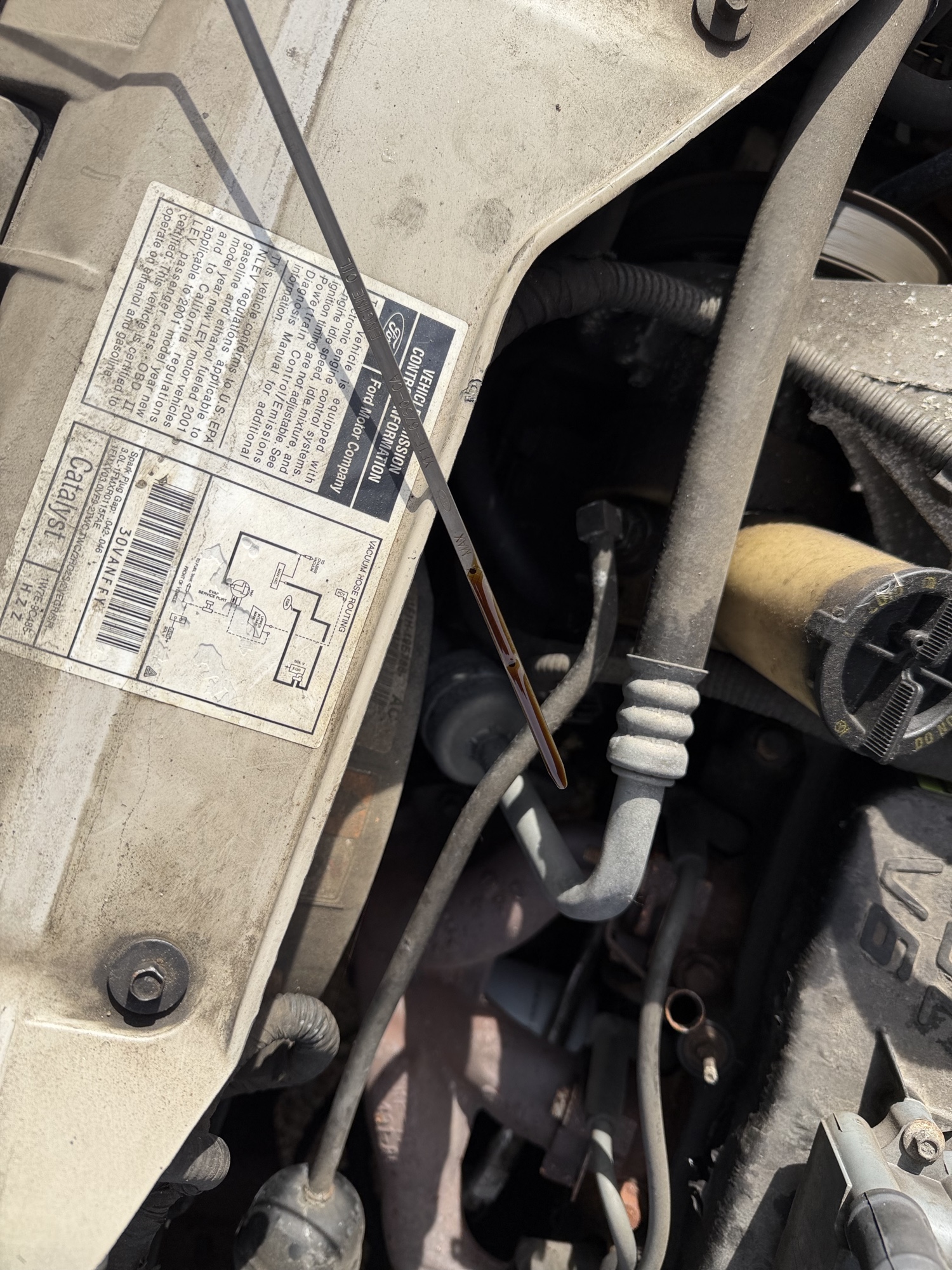 2001 ford taurus ses with 165634 miles for sale near Elk River, Minnesota 106980_50_oil_dipstick.jpg