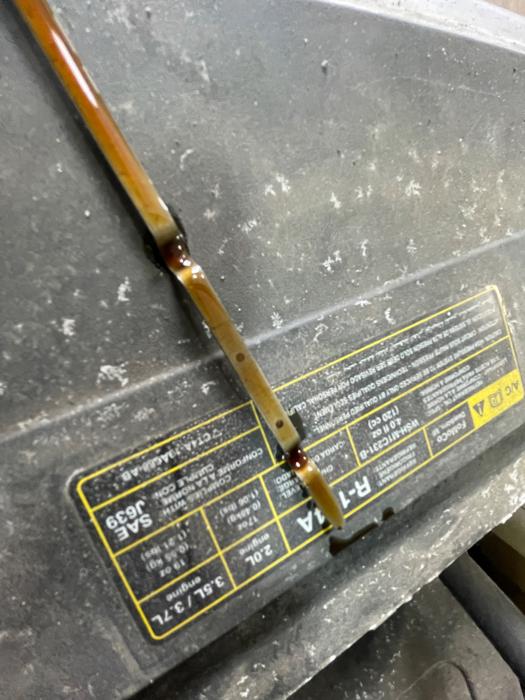 2013 ford edge limited-awd with 216902 miles for sale near elk-river, minnesota 10bb090fa92741909d919b358f198485.jpeg