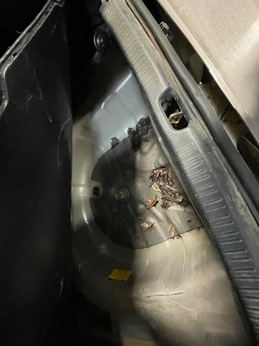 1999 toyota corolla ve with 159914 miles for sale near elk-river, minnesota 12256dbbc2ce4a3e82f9aa30914f4d9e.jpeg