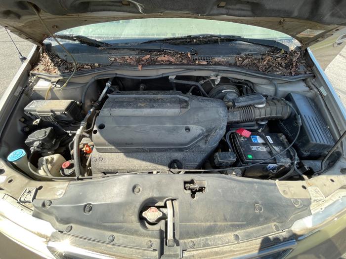 2004 honda odyssey ex with 123428 miles for sale near elk-river, minnesota 1a560ade13d04a8cb79fa1e51bb70f2e.jpeg