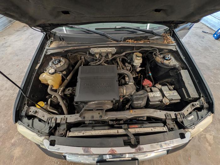 2009 ford escape limited-fwd-v6 with 198732 miles for sale near elk-river, minnesota 1b061f80c28f4c3ba09765c98bd1f5a8.jpg
