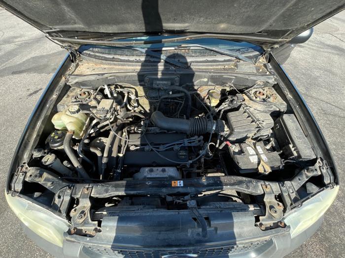 2004 ford escape xls-2wd with 179863 miles for sale near elk-river, minnesota 1b40f35d53fa44b390f75ef682607444.jpeg