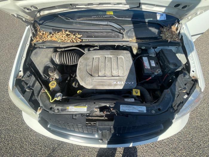 2012 ram cargo-van base for sale near fridley, minnesota 1bd663e8de6840349c1a003411658cf0.jpeg