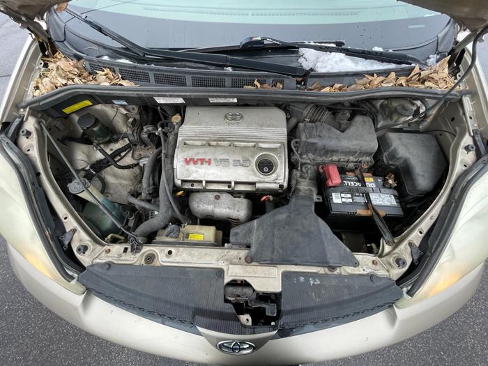 2004 toyota sienna le,ce with 177599 miles for sale near elk-river, minnesota 1be7c46e794249dc84244adab70fce53.jpg