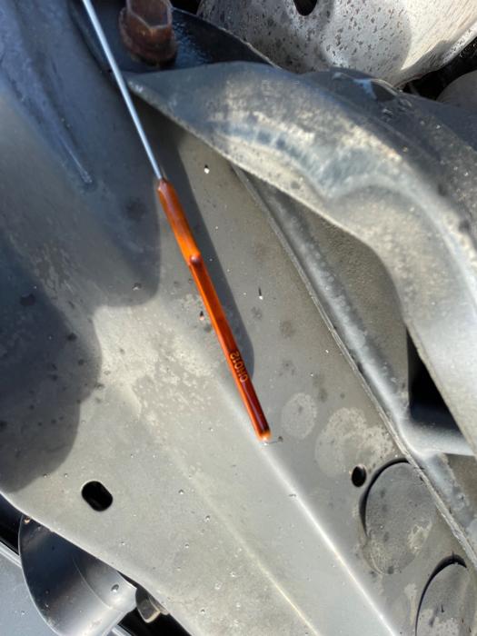 2005 toyota camry le for sale near elk-river, minnesota 1c8e632c2cde44d7a4396ce1f420ce94.jpeg