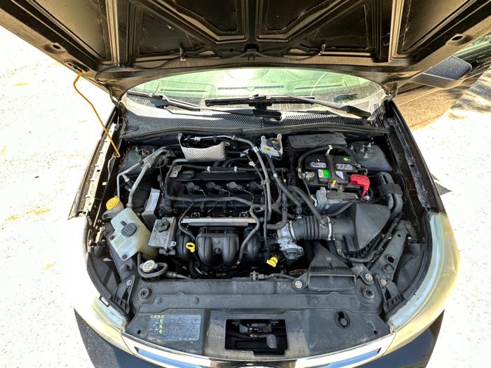 2009 ford focus ses-sedan with 153412 miles for sale near elk-river, minnesota 1d51747e6748408594ca14936e58d3ac.jpeg