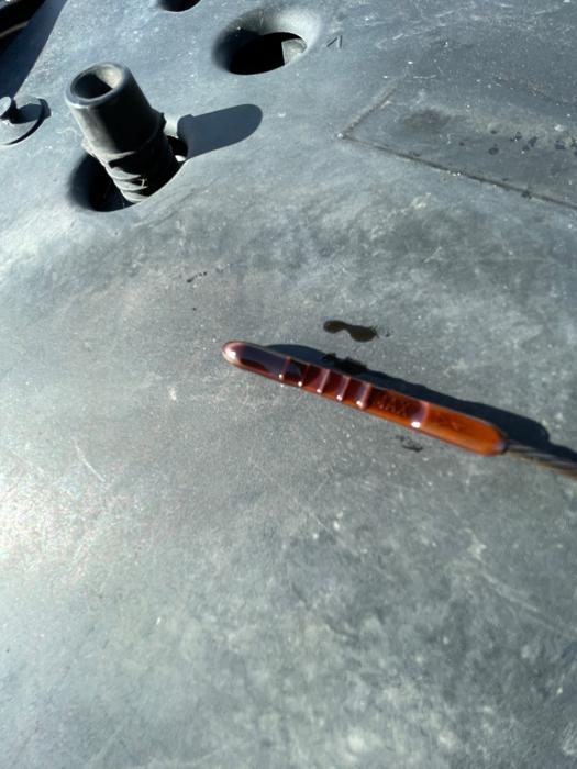 1999 cadillac seville sls with 188654 miles for sale near elk-river, minnesota 1dab8d70bbc34acebee84cfb8ddfed95.jpeg