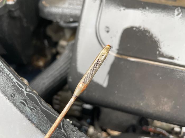 2015 chevrolet equinox 1lt-2wd with 194189 miles for sale near elk-river, minnesota 1f5f2171e9a548a69aafdf6cae459438.jpeg