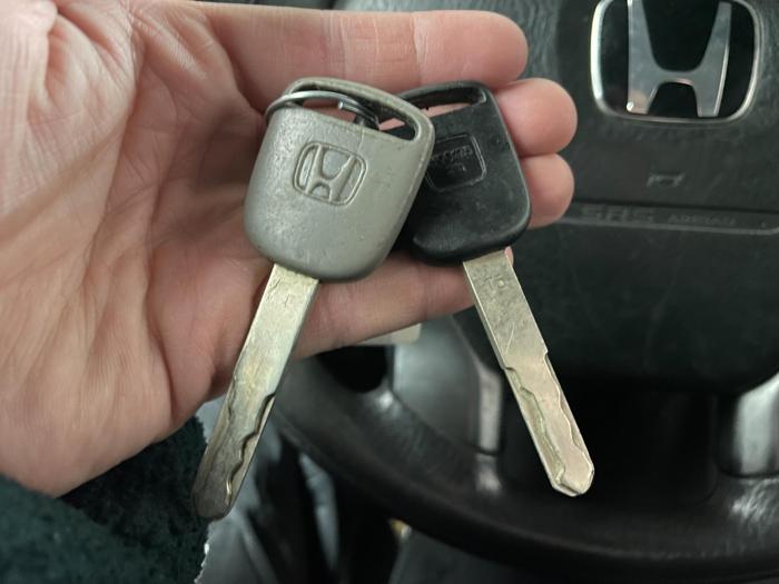 2003 honda element ex with 204662 miles for sale near elk-river, minnesota 1fd5e7f4be5f4bfe90d61fcd40ca2deb.jpg