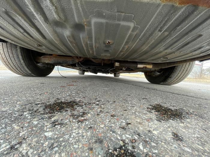 2006 honda odyssey exl with 285082 miles for sale near elk-river, minnesota 22360988333046a19460dc4fac0511e6.jpeg