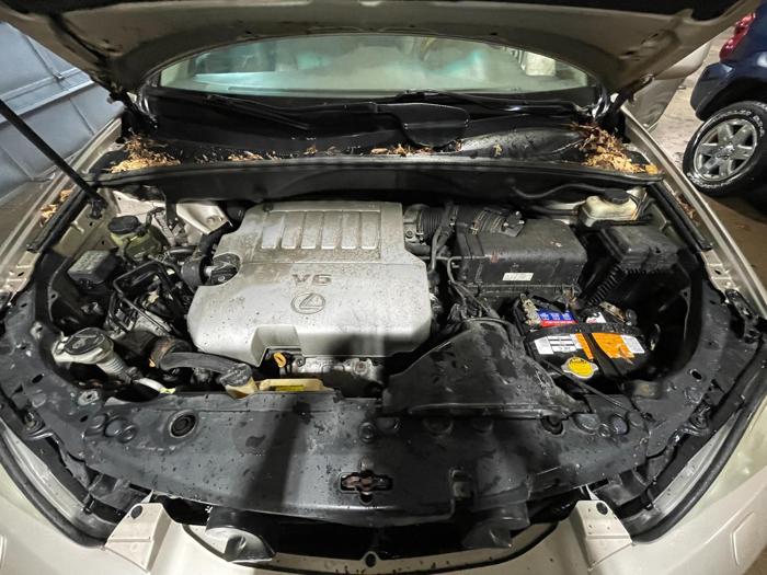 2007 lexus rx-350 awd with 219015 miles for sale near elk-river, minnesota 2437050e970041319a6e6941c7010f87.jpg