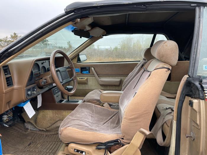 1986 pontiac sunbird gt with 145298 miles for sale near elk-river, minnesota 2582139583b341aca98d54e50dc3c479.jpeg