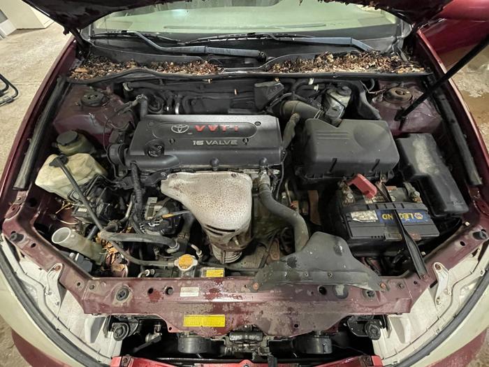 2004 toyota camry le with 328065 miles for sale near elk-river, minnesota 26de66ddfff64b459e9d557b0b033dd1.jpg