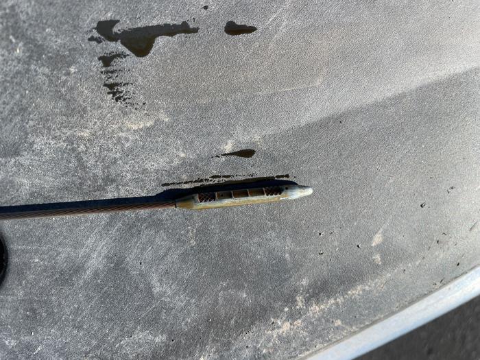 2013 chevrolet traverse 1lt-fwd with 191997 miles for sale near ham-lake, minnesota 286eb48b7c954dde81d8939b5eb12ec2.jpeg