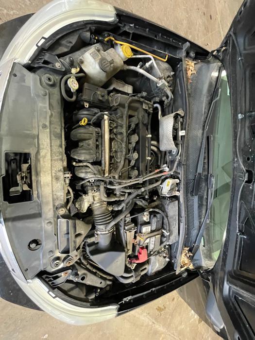 2009 ford focus se-sedan with 174309 miles for sale near elk-river, minnesota 2870d28cbe884719a75ff8d8507fbbb1.jpeg