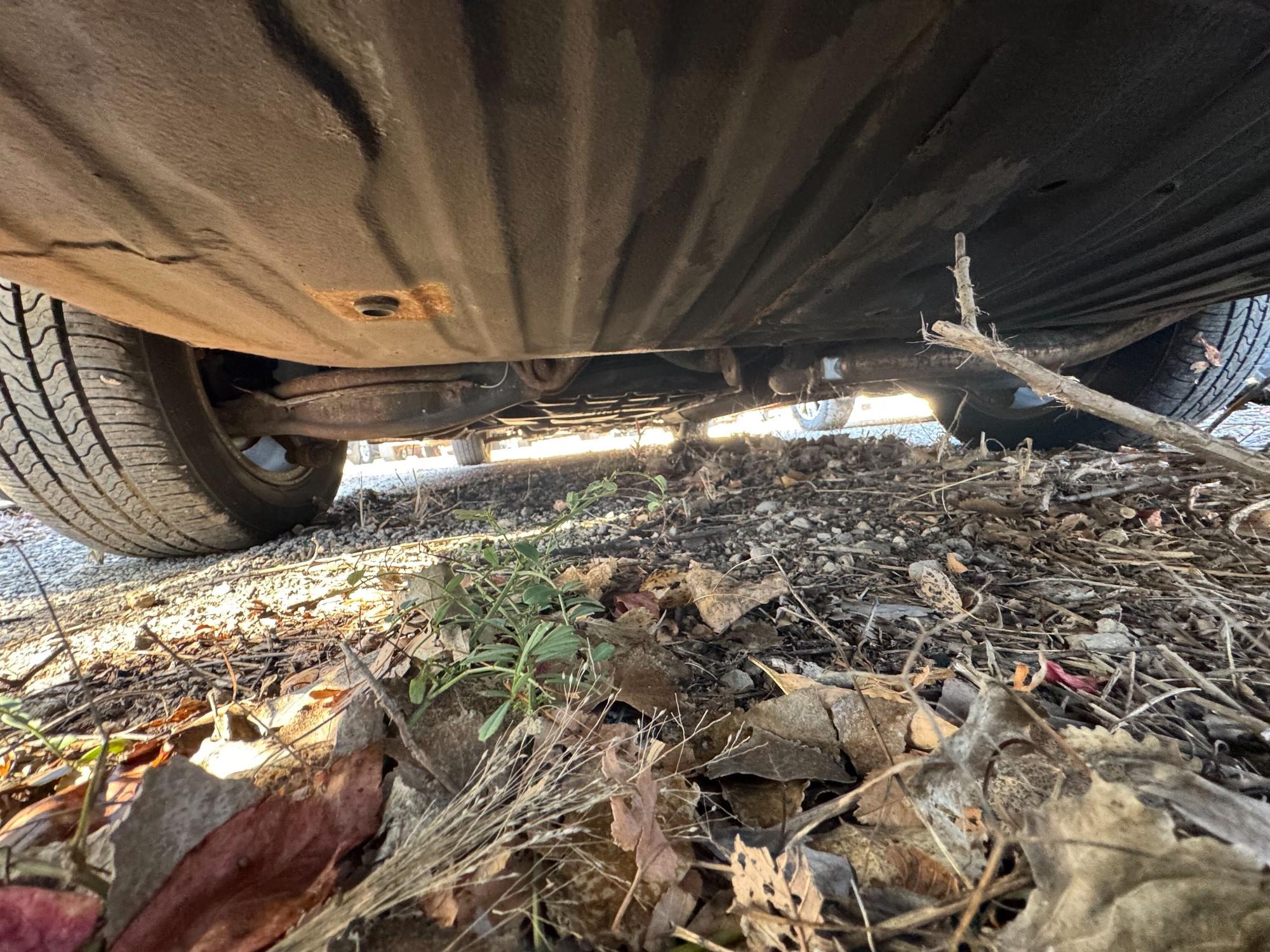 2003 honda odyssey ex with 277425 miles for sale near Elk River, Minnesota 2a7906c967764e8d8601e909df7b8bc0.jpg