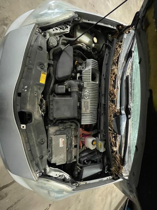 2010 toyota prius prius-ii with 252706 miles for sale near elk-river, minnesota 2bc8294fa4d54ac28ca0a80d7050851d.jpeg