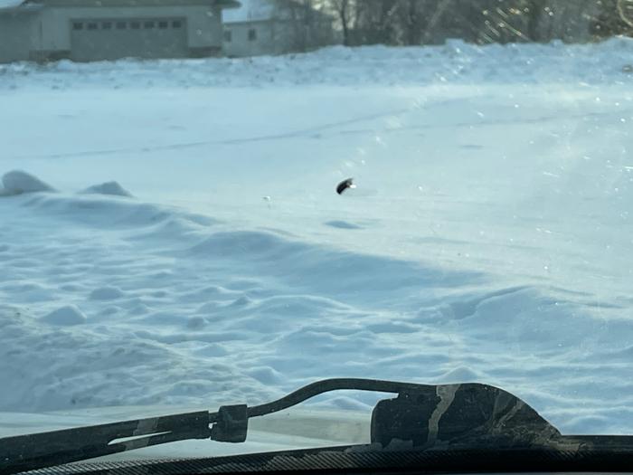 2003 buick lesabre custom with 180830 miles for sale near elk-river, minnesota 2f1e4434581f49f6af6e0f38678e152c.jpeg